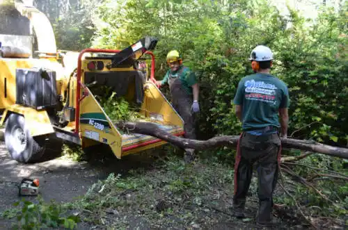 tree services Myrtletown